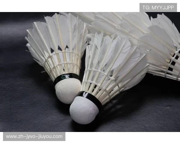 羽毛球护边贴图