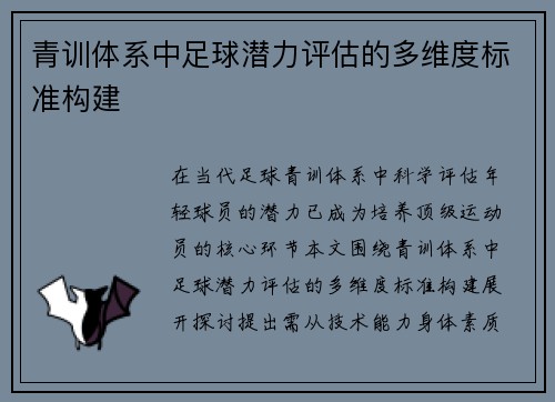 青训体系中足球潜力评估的多维度标准构建