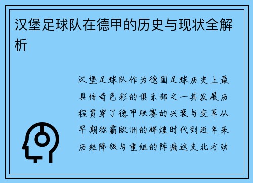汉堡足球队在德甲的历史与现状全解析